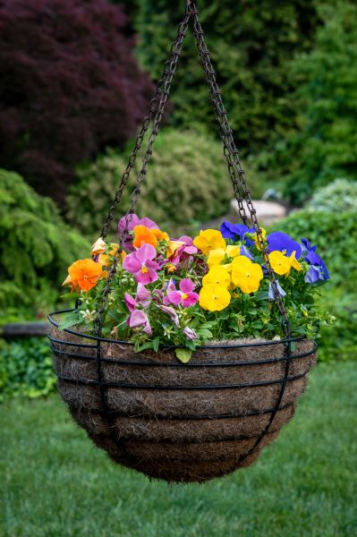 Hanging Basket Installation in Lake Charles